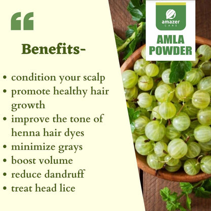 AmazerCare Natural Amla Powder 100% Pure and Chemical Free | Indian Gooseberry Powder for Healthy Hair & Nourishment